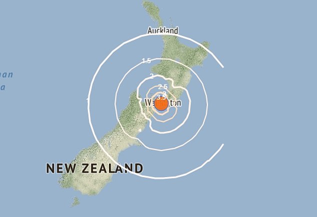 A magnitude 4.8 earthquake struck New Zealand's capital Wellington late at night