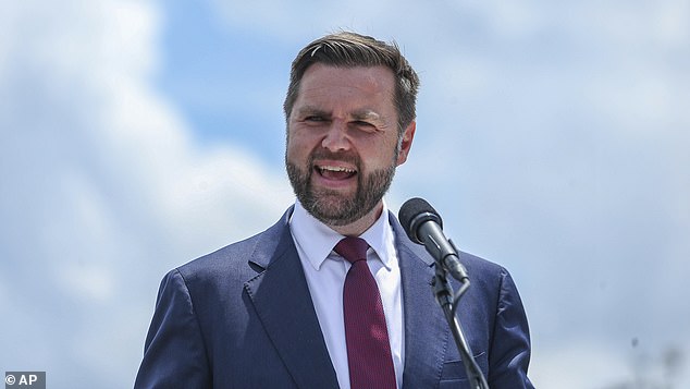 JD Vance criticized critics of President Donald Trump's visit to Arlington Cemetery