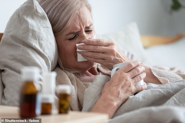 Scientists have discovered that the thymus, an organ located behind the breastbone, retires at the same time as we do, stopping the production of cells vital to good health.