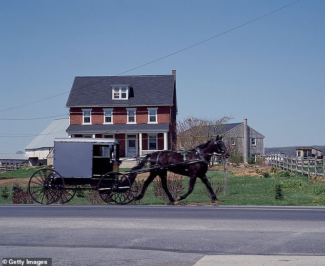 There has been a devastating increase in the number of fatal accidents involving Amish vehicles in recent years