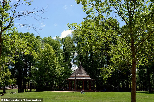 The couple were in Glebe Park, Canberra, when they were approached by Hollingshed and another man