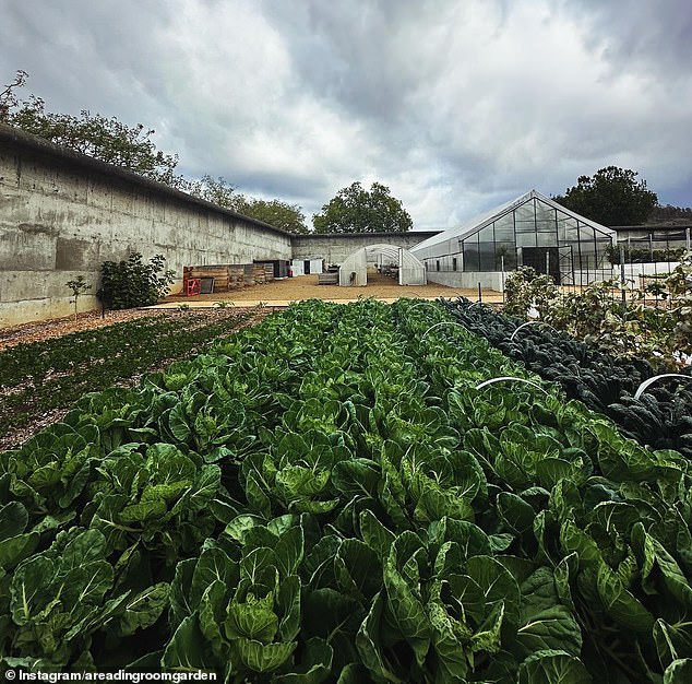 Rodney Dunn has realised his dream of produce-based dining at The Agrarian Kitchen at TAS, where 90 per cent of the food used in the kitchen comes from the garden and greenhouse. What’s more, they recently won the Best Restaurant in Australia award from Gourmet Traveller.