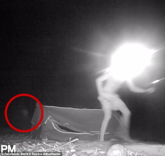 The figure was captured on a wildlife camera that only starts filming when there is movement or heat