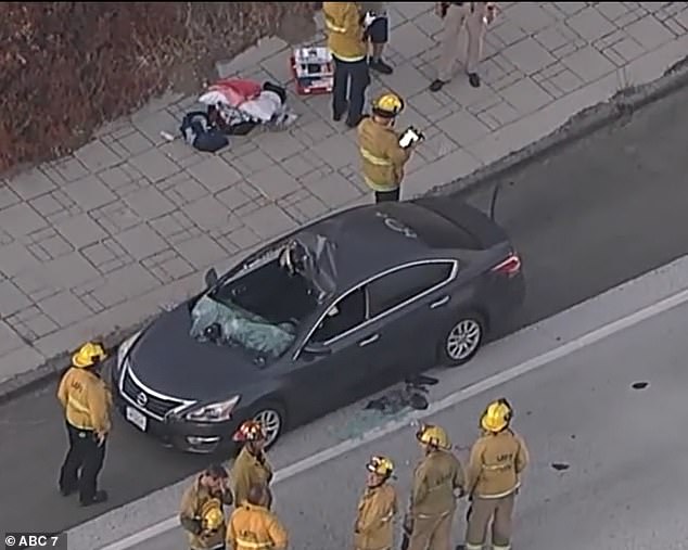 The man hit the Galindos' car so hard that he went straight through the windshield, hitting Margarita as she sat in her seat