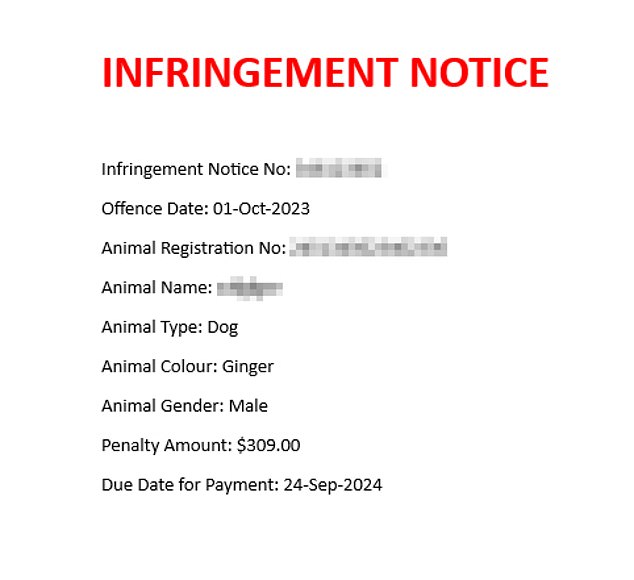 The Noosa resident said he only received one warning from the council before being issued with the fine (pictured, model)