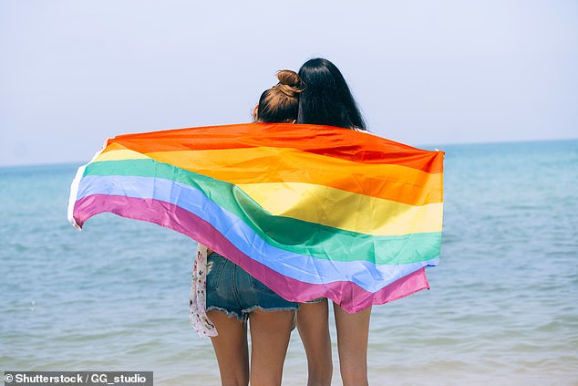 LGBTQIA+ families and library staff were interviewed (pictured is a couple holding the LGBTQIA+ rainbow flag)