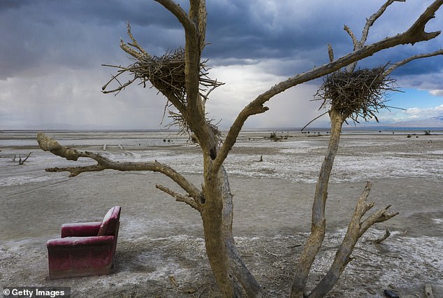 The Golden State's largest lake is shrinking at an alarming rate, making it saltier, dustier and producing an interesting smell.