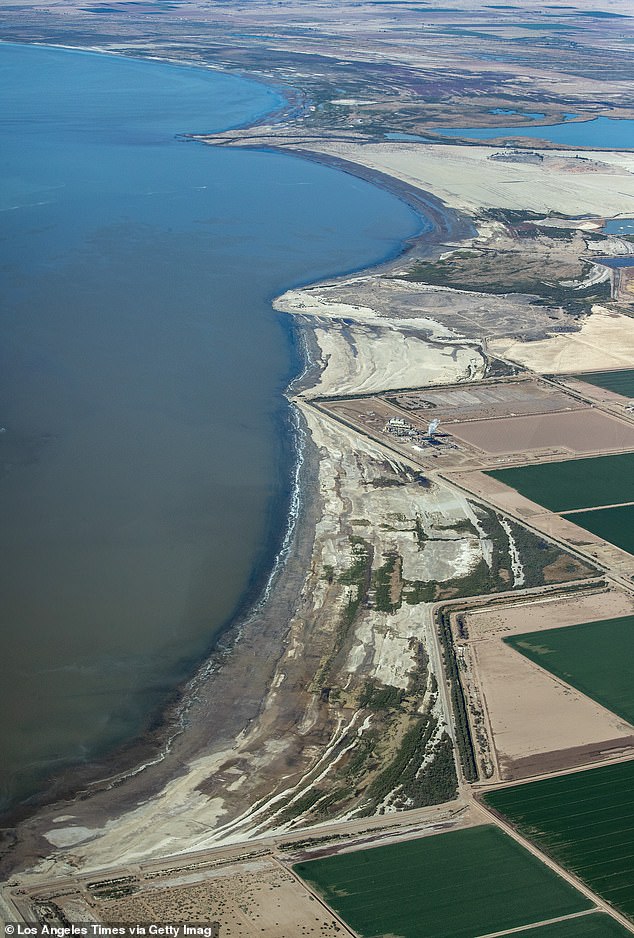 Once home to popular resorts like Coachella Valley, Mecca and Bombay Beach, Salton Sea is now described by visitors as a 