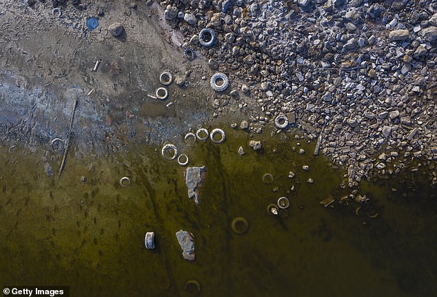 The odor that permeates the air and spoils the lives of everyone within a few miles of the stinking lake is even driving some residents away