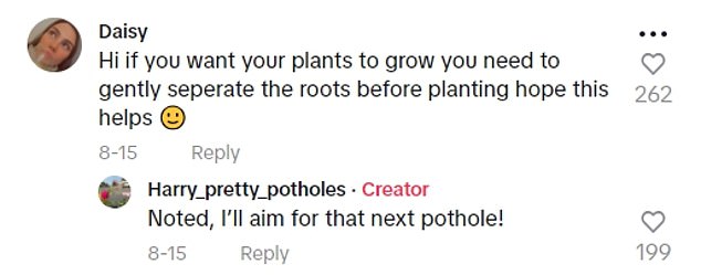 1725198171 805 Vigilante gardener fed up with hideous potholes plants flowers in