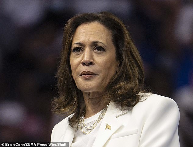 Much of the response focused on attacks on Vice President Kamala Harris' professional record and claims that she 