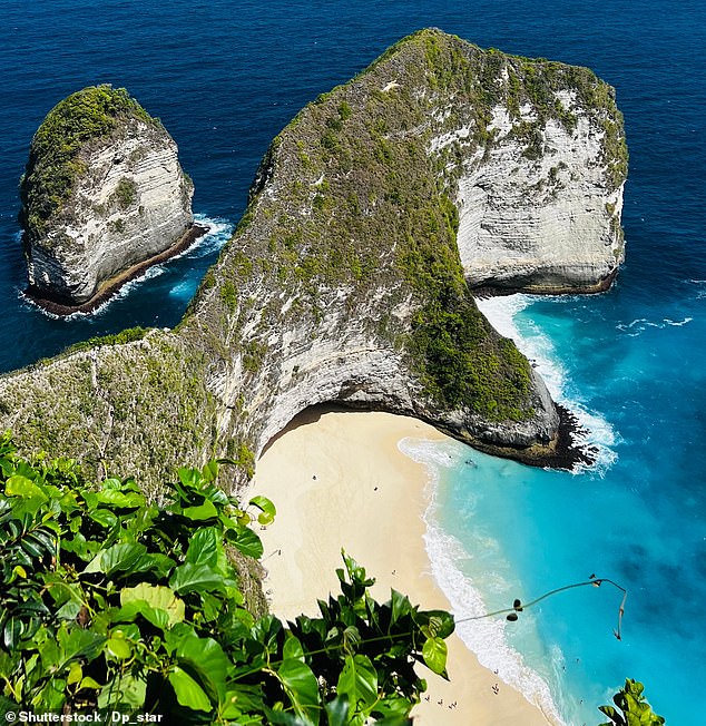 Mrs Phillips and her husband were among 11 others who went on a diving trip Saturday morning at Manta Point, a popular dive site near Nusa Penida in Indonesia (stock image)