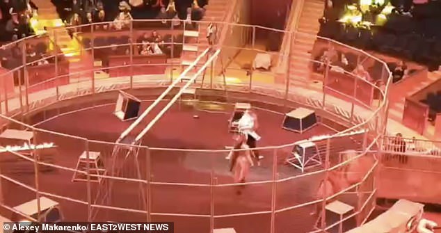 Video shows horrific moment lion attacks famous circus performer in circus ring in Black Sea resort of Sochi