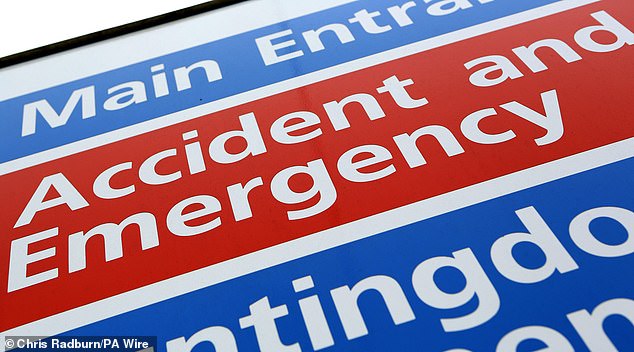 Many patients give up going to their GP and now report to the Emergency Room or self-medicate (Stock Image)