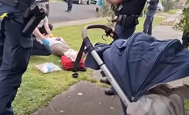 The dogs were seen unaccompanied the next day, before attacking a new mother pushing a stroller with her baby to pick up an older child from school