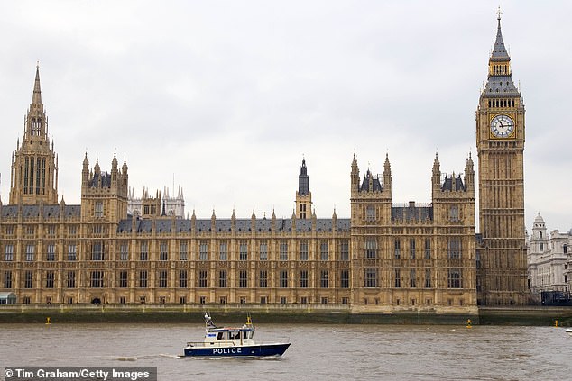 Every new MP has been sent a panic alarm as they have been delivered for the first time as part of the House of Commons' 'welcome packs'