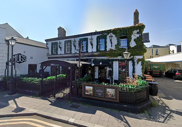 The Dalkey Duck pub is pictured. Buscemi had eaten a meal at a nearby restaurant just before the fight