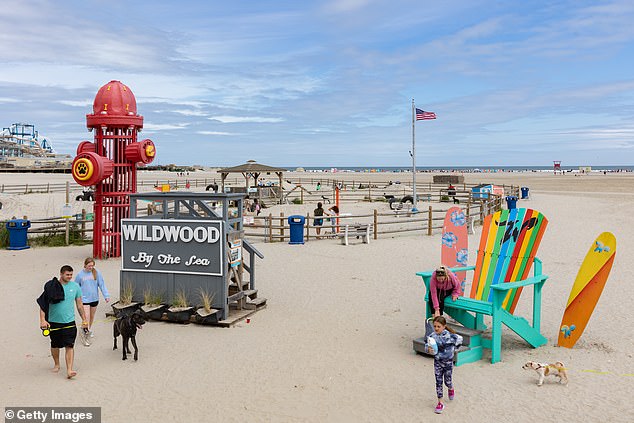 A woman sunbathing on the beach in preparation for Labor Day weekend was hit by a police car in a horrific accident