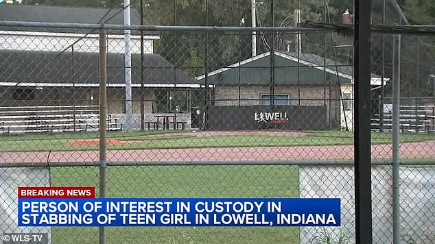 On Saturday at approximately 3:45 p.m. local time, the teenage girl was with her mother watching her brother play on a field in unincorporated Lowell, about 100 miles west of Chicago