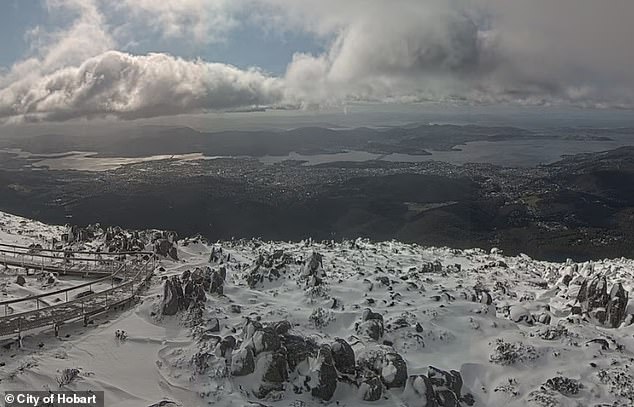 Temperatures dropped to a low of -3 degrees on Kunanyi/Mt Wellington (pictured) on Monday evening, with a windchill and heavy snowfall leading to a wind chill of -21.6C