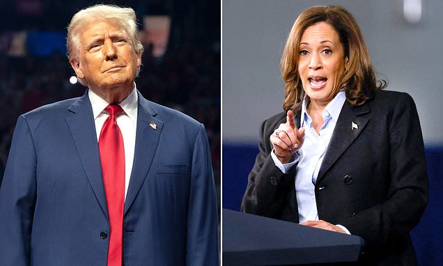 1725366179 340 Kamala Harris takes a five point lead over Donald Trump in