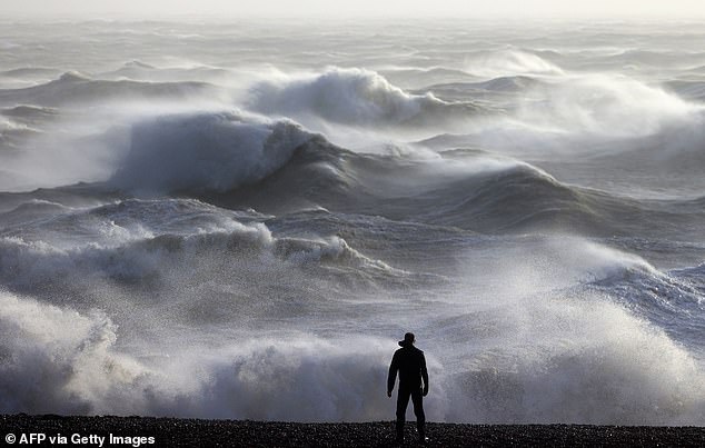 Heavy winter rainfall has caused trees across the country to grow more than usual. Pictured: Newhaven on 2 January