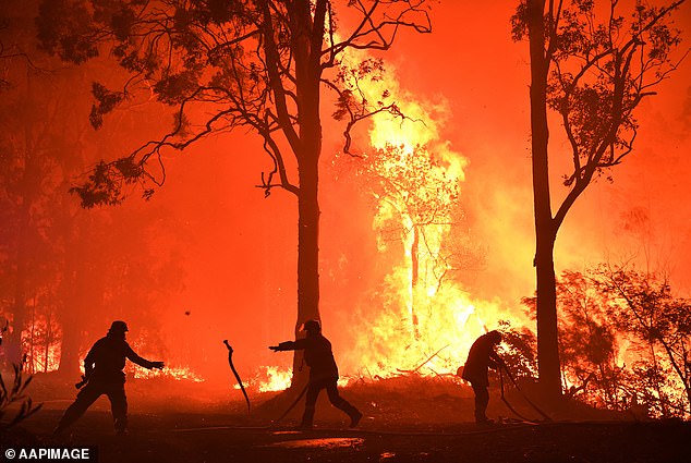 His biggest concern is the possibility of “sudden droughts” that could suddenly turn the country into a hotbed of catastrophic wildfires within weeks (pictured, the Black Summer fires of 2019).