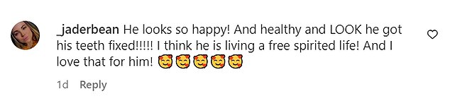 In the adjacent comment thread on one of the posts, fans of the Charlie and the Chocolate Factory actor complimented his rejuvenated appearance following the apparent dental treatment he underwent