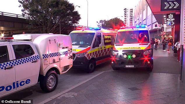 A spokesperson for AA NSW Police told Daily Mail Australia that officers are treating the incident as a suicide incident