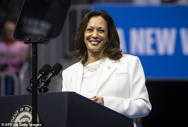 Allan predicted that 'the Democrats will keep the White House and that Kamala Harris will be the next president of the United States'