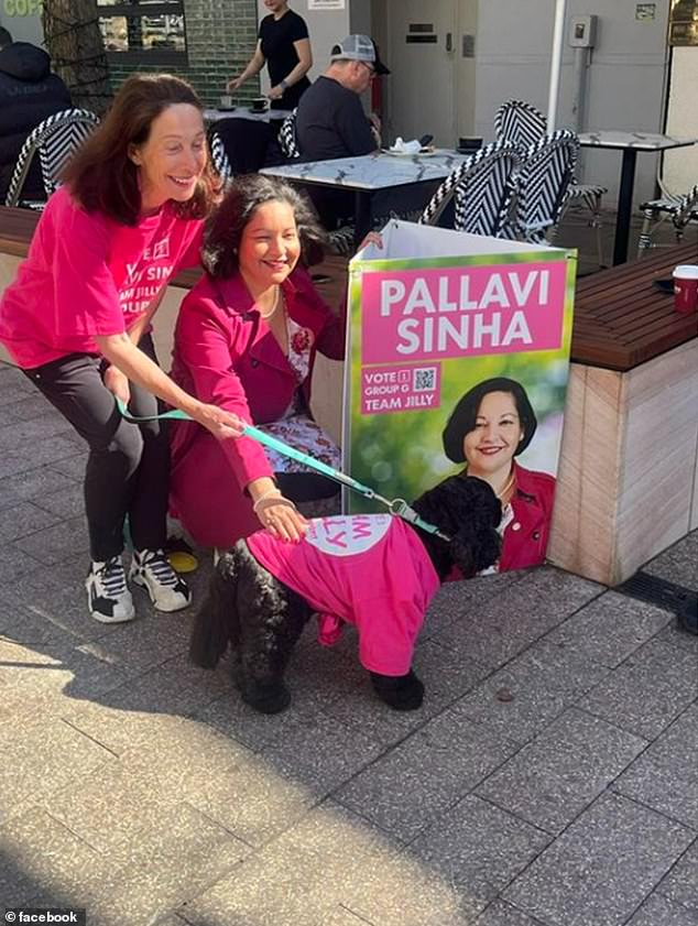 Jilly Gibson has campaigned for independent candidate, Milsons Point lawyer Pallavi Sinha to become the new Mayor of North Sydney