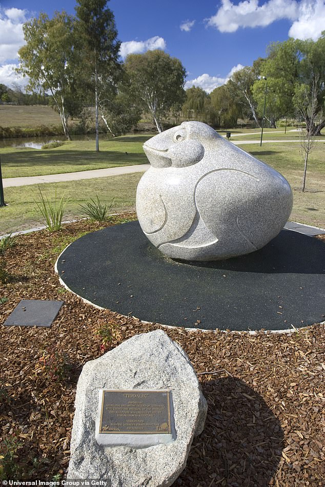 Frog statue 'Tiddalik' is listed first in the tourist bulletin distributed throughout Warwick