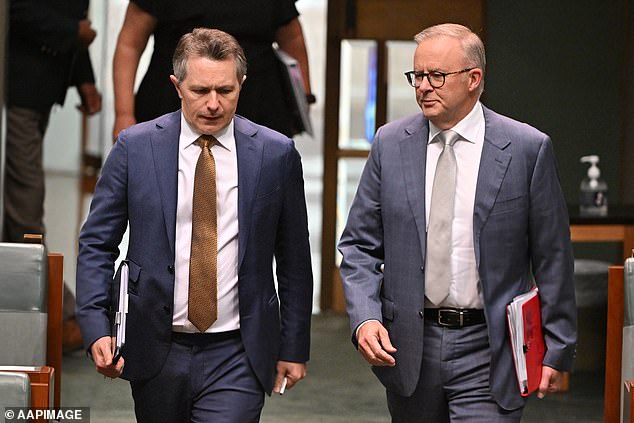 Labor's higher education policy will seriously hamper Australia's second largest export industry (Photo: Education Minister Jason Clare and Prime Minister Anthony Albanese)