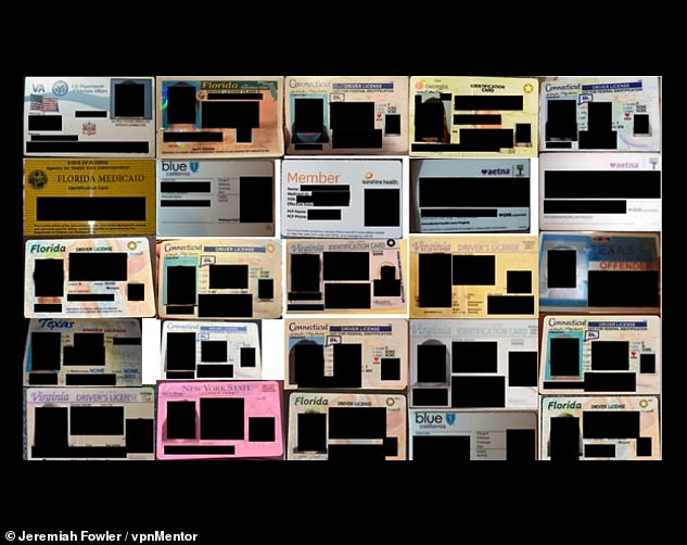 Above is a collage of edited screenshots showing a number of insurance documents, driver's licenses and other state-issued IDs that were publicly accessible