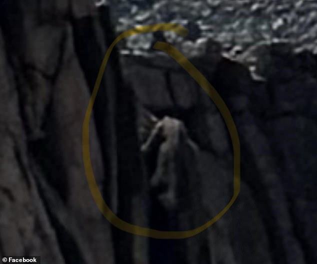 Two hikers are left stunned after coming across a terrifying 20-foot tall figure clinging to the side of a Colorado mountain (a zoom-in photo of the specimen can be seen here)