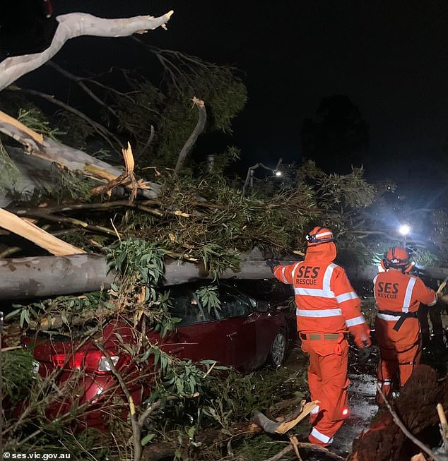 Parts of the country have already been hit by devastating winds and devastation. (Pictured, crews clear a fallen tree from a car in NSW in early September)