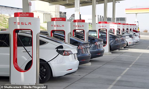 Tesla has yet to release its robotaxis, which is expected to hit the market in 2020 (Photo of Tesla vehicles charging)