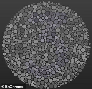 If we are missing some cone cells, it is harder to distinguish shades, which would make it much harder to see the number hidden here