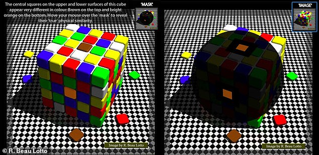 Our brains make assumptions about how things look based on the colors and expected lighting. This is why the brown square looks different on the 