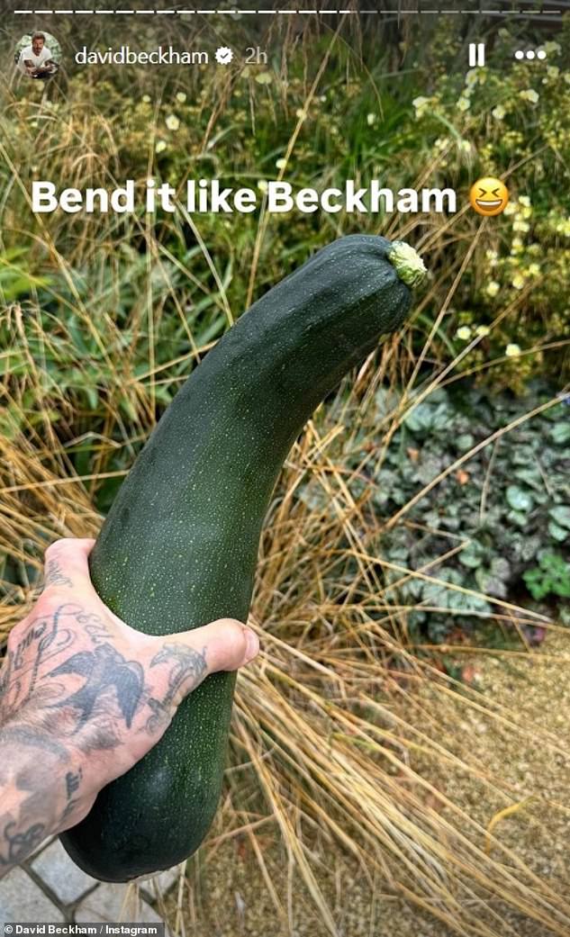 The star held up a huge courgette and David couldn't resist commenting on its shape, which surprised him, saying: 