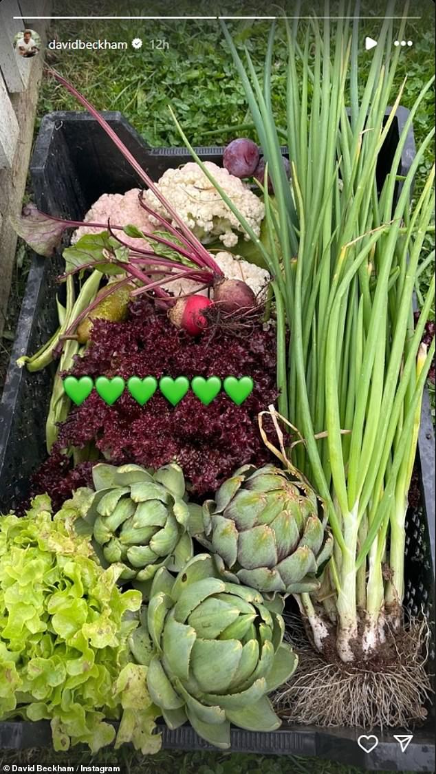 His Instagram followers got a glimpse of his bountiful harvest, with baskets full of potatoes, kale, carrots and cauliflower