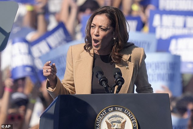 Democratic presidential candidate Vice President Kamala Harris speaks during a campaign rally at the Throwback Brewery in North Hampton, NH