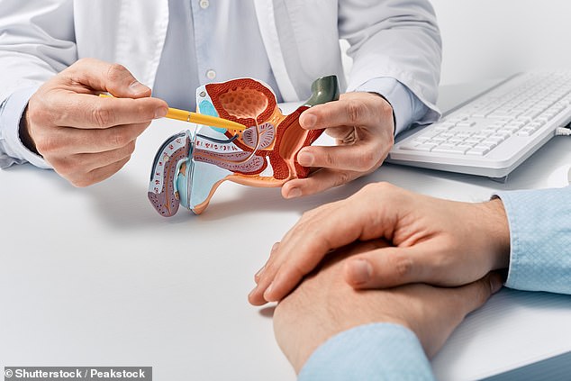 A doctor shows a patient the male reproductive system. Peter Tomlinson, 81, from Worcestershire, said he worries the NHS is not 'equipped' to treat cancer after his experience being diagnosed with prostate cancer in 2009 after his wife Ali, herself a doctor, urged doctors to perform a biopsy (stock image)