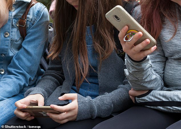 New legislation would prevent children under a certain age from registering to use social media (stock image)