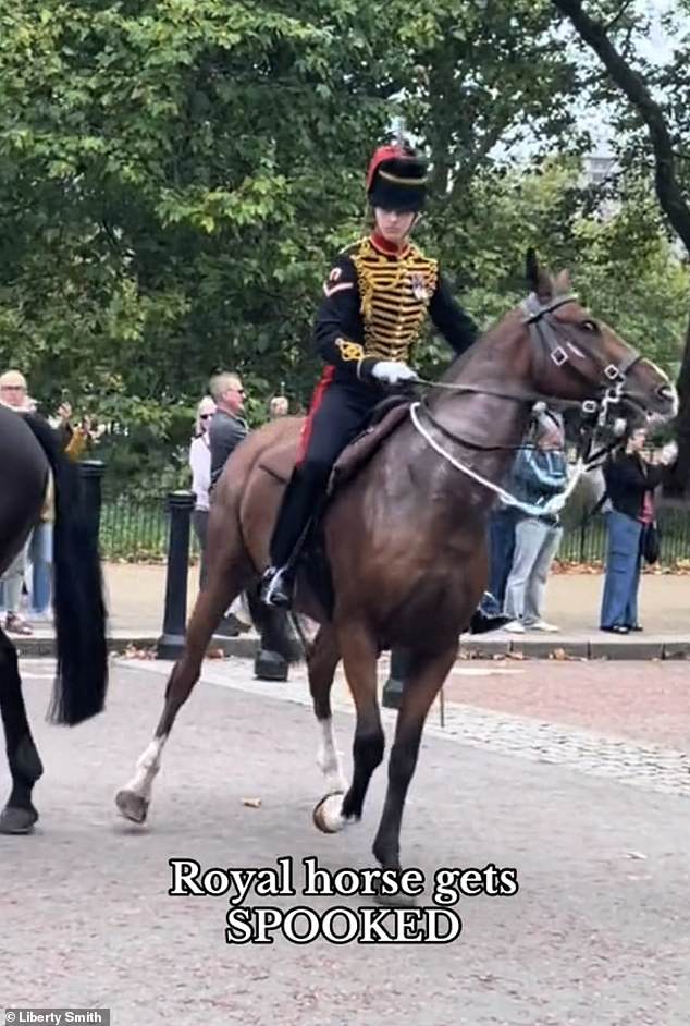 The horse broke out of formation and appeared to be heading toward the source of the sound