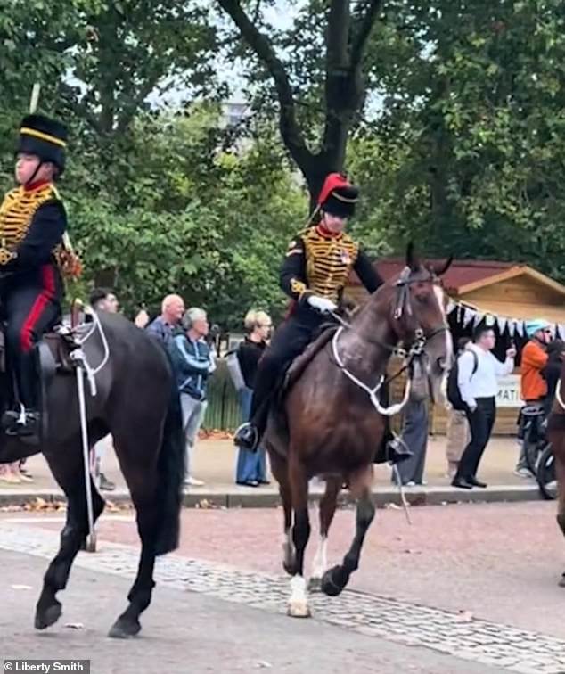 The mounted soldier remained calm as she attempted to regain control of the startled horse and get it back in line