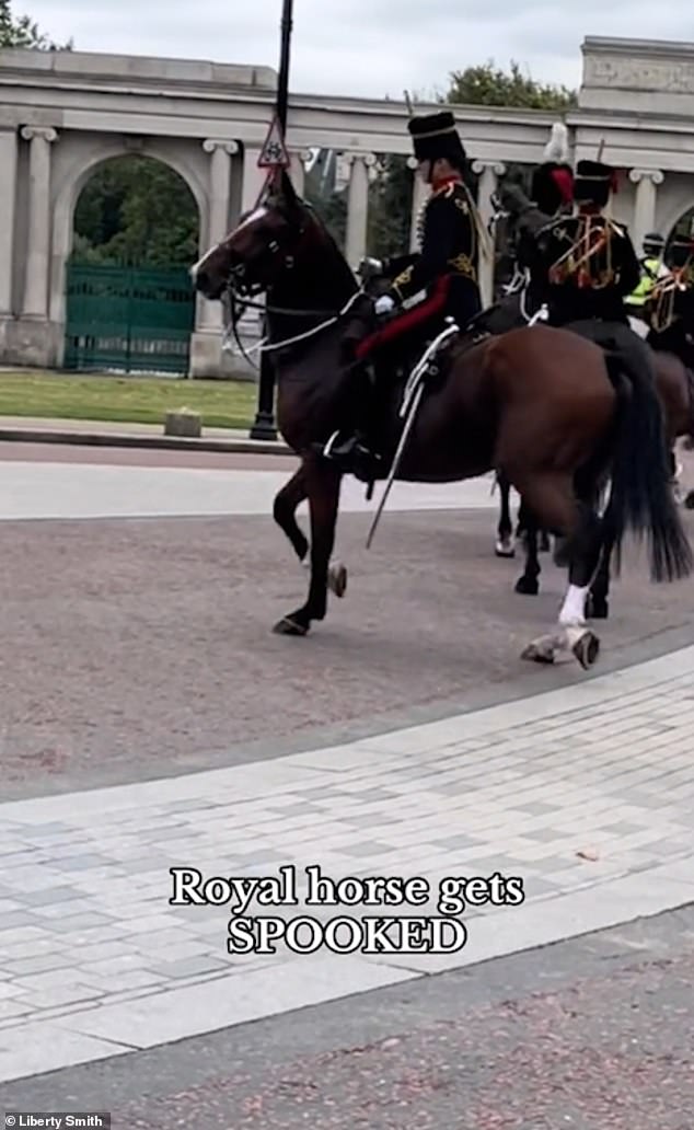 The mounted soldier remained calm as she tried to get the horse back in line