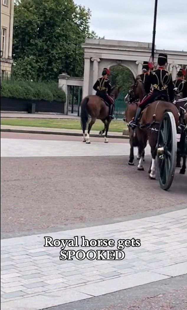 By the time the procession reached Apsley Gate in Hyde Park, the horses were back in formation