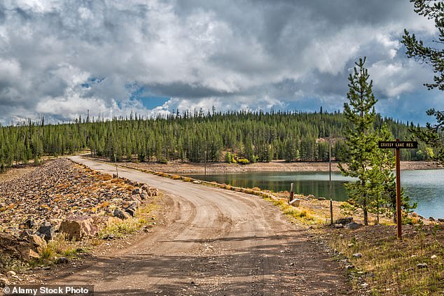 An estimated 1,000 grizzly bears live in the Greater Yellowstone Ecosystem. Grizzly bears are protected under the Endangered Species Act, which means it is illegal to harm them unless in self-defense (File photo from Caribou Targhee National Forest)