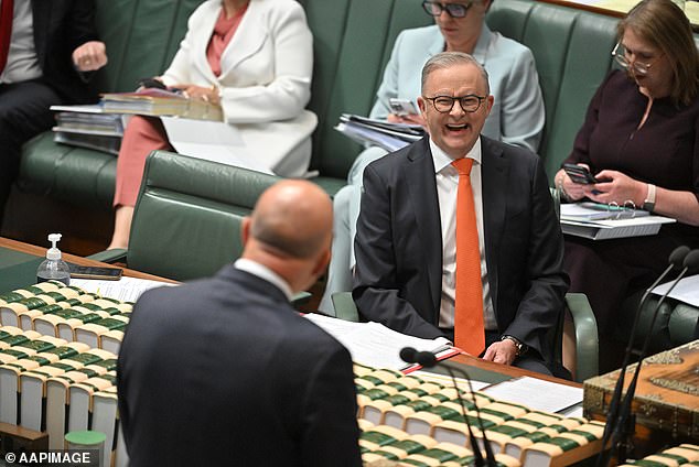 Pictured: Anthony Albanese in the House of Representatives on Tuesday afternoon